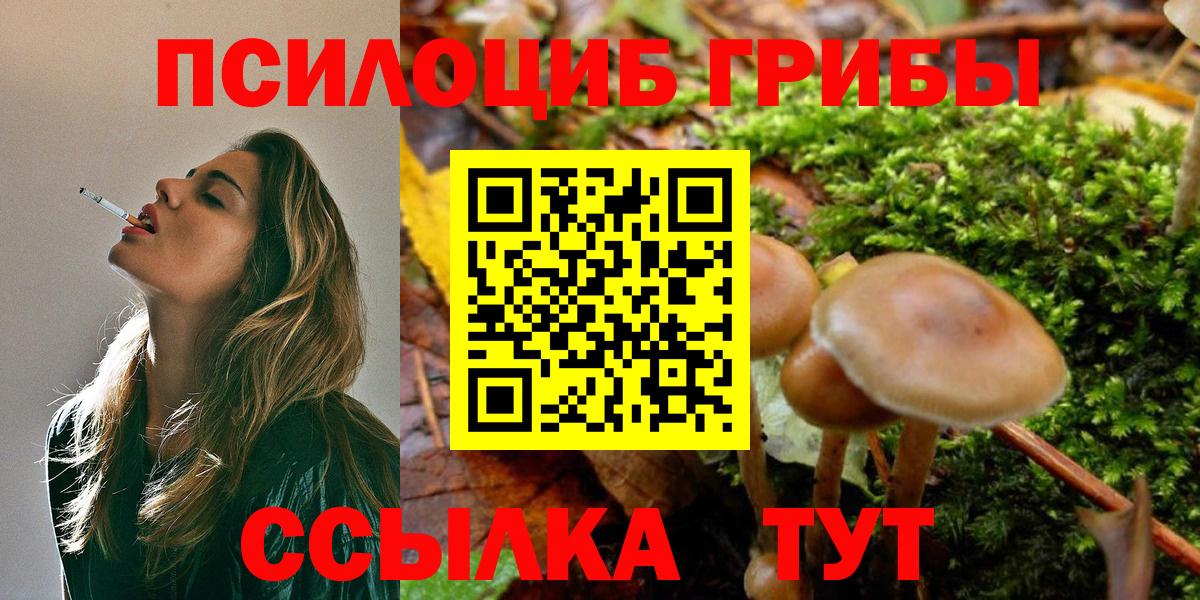 Кунгур  как найти закладки  Вход с VPN  Галлюциногенные грибы Psilocybine cubensis 