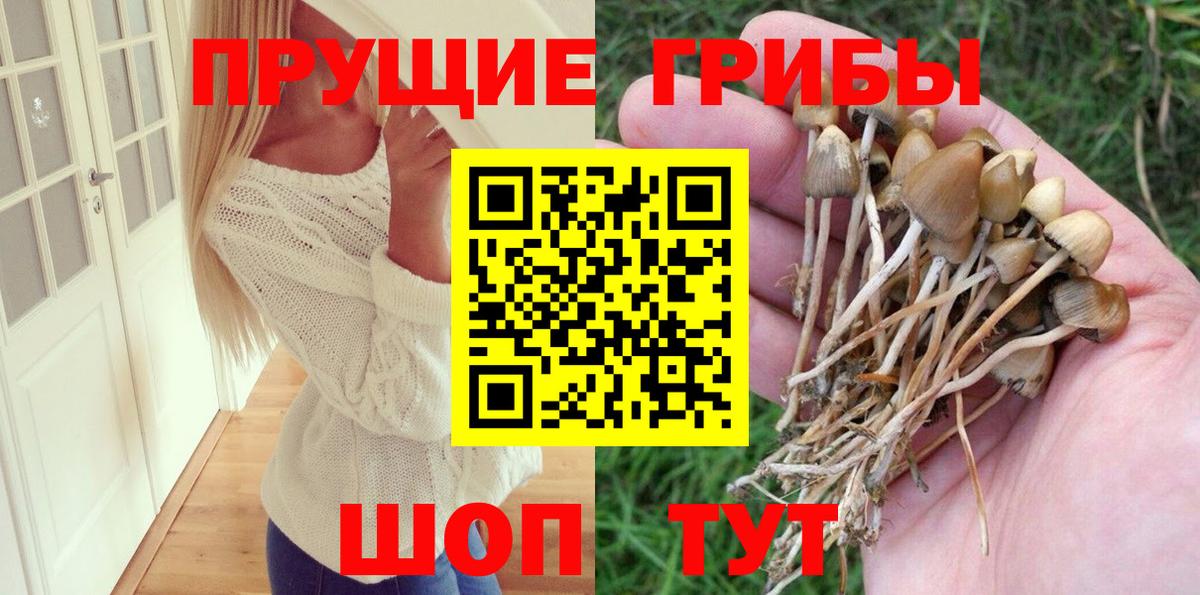 Псилоцибиновые грибы мухоморы Кунгур